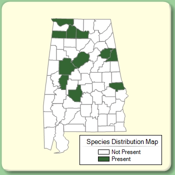 Species Distribution Map