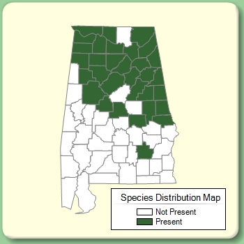 Species Distribution Map