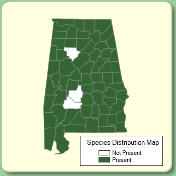 Species Distribution Map