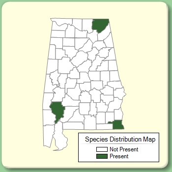 Species Distribution Map