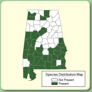 Species Distribution Map