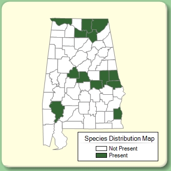 Species Distribution Map