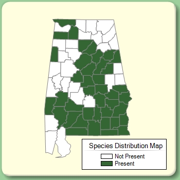 Species Distribution Map