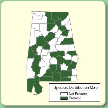 Species Distribution Map