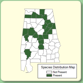 Species Distribution Map