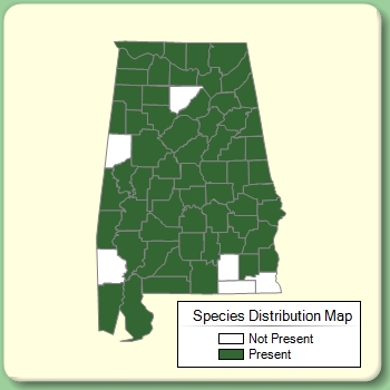 Species Distribution Map