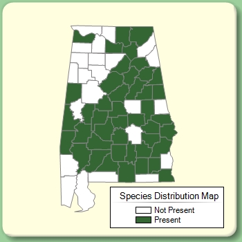 Species Distribution Map