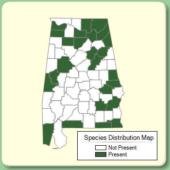 Species Distribution Map