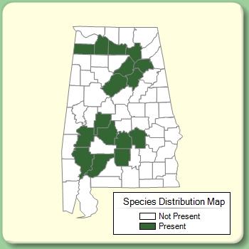 Species Distribution Map