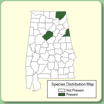 Species Distribution Map