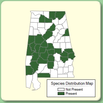 Species Distribution Map