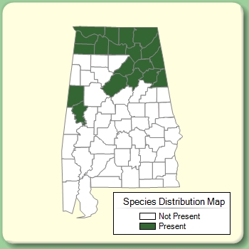 Species Distribution Map