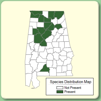 Species Distribution Map