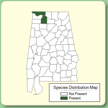 Species Distribution Map