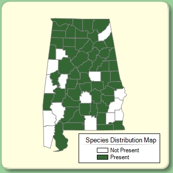 Species Distribution Map