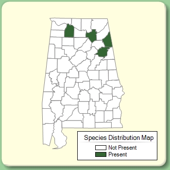 Species Distribution Map