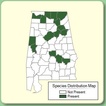 Species Distribution Map