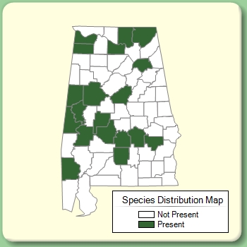 Species Distribution Map