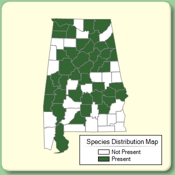 Species Distribution Map