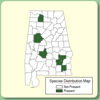 Species Distribution Map