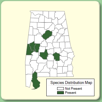 Species Distribution Map