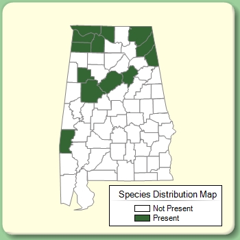 Species Distribution Map