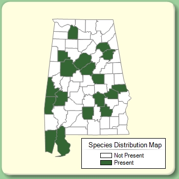 Species Distribution Map