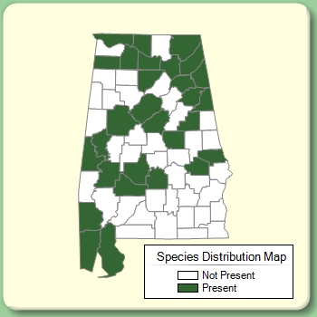 Species Distribution Map