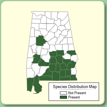 Species Distribution Map