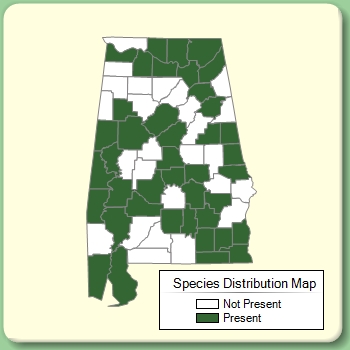 Species Distribution Map