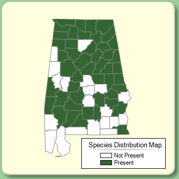 Species Distribution Map