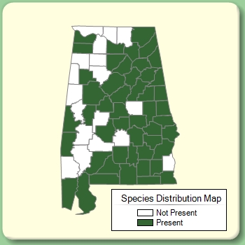 Species Distribution Map