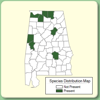 Species Distribution Map