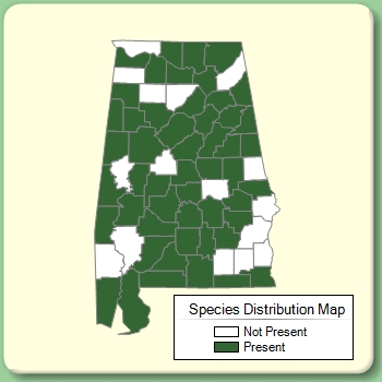 Species Distribution Map