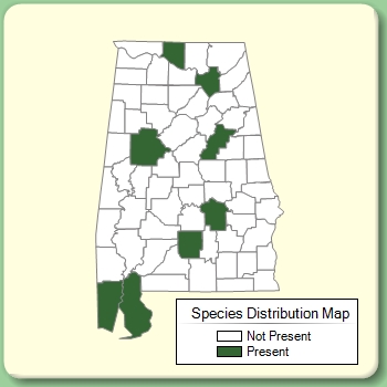 Species Distribution Map