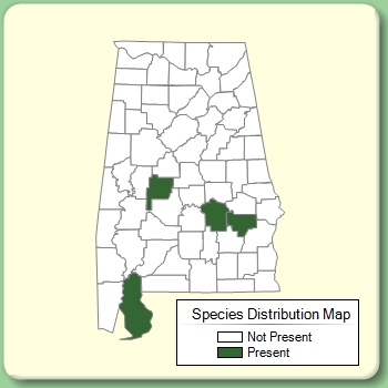 Species Distribution Map