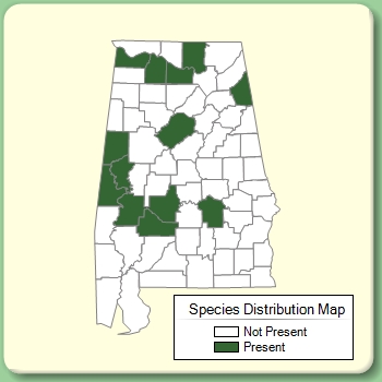 Species Distribution Map