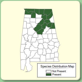 Species Distribution Map