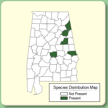 Species Distribution Map