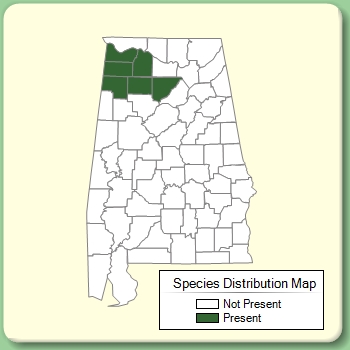 Species Distribution Map