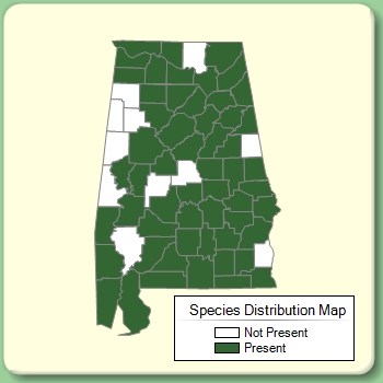 Species Distribution Map