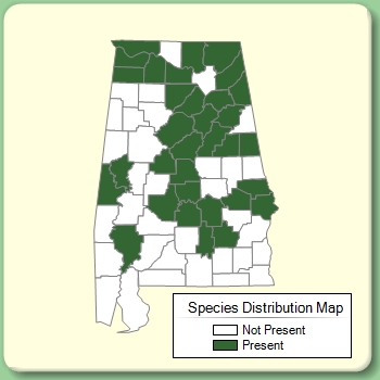 Species Distribution Map