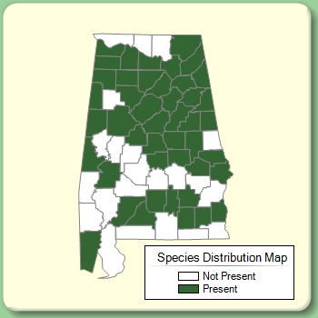 Species Distribution Map