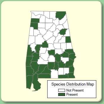 Species Distribution Map