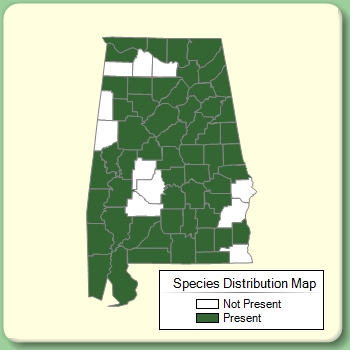 Species Distribution Map