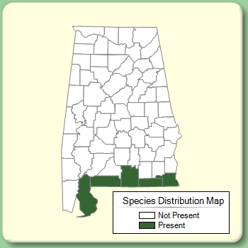 Species Distribution Map