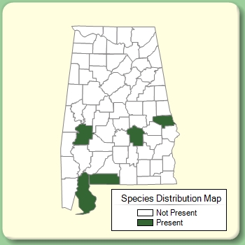 Species Distribution Map