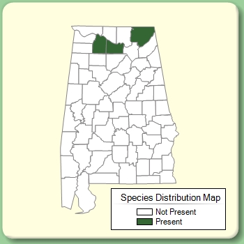 Species Distribution Map