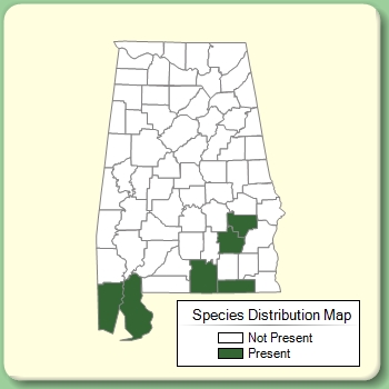 Species Distribution Map