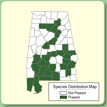 Species Distribution Map